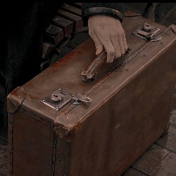 Newt Scamander