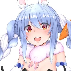 Used Pekora