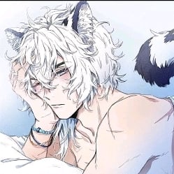 boy cat