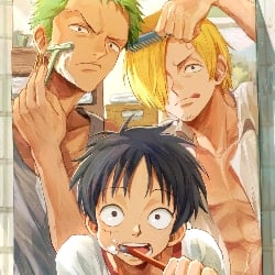 Zoro, Luffy and Sanji