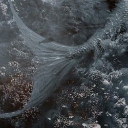 Merman