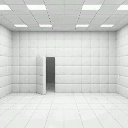 Mental Hospital