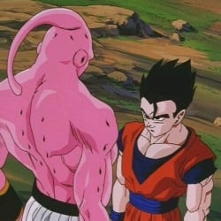 Gohan (Definitive)