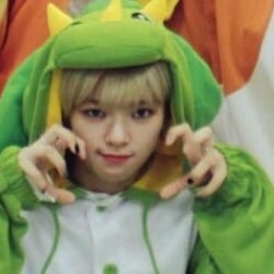 Jeogyeon dino
