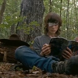 🌿-Carl Grimes