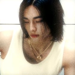 ⁎⁺˳✧༚|| Hyunjin Hwang³