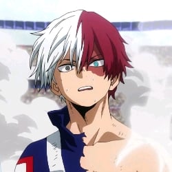 todoroki shoto