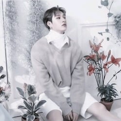 🌳👬┆❑Bang chan❑≛˙˚۵