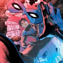 nightwing .