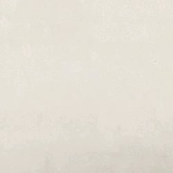 White room