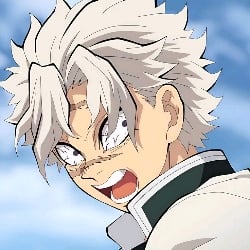 ⁉️|| Sanemi Shinazugawa