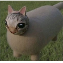Cat Misshapen