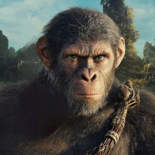 Noah (Owen Teague)