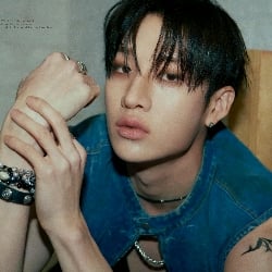 Chan bsf