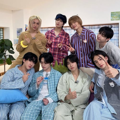 Stray kids ✮