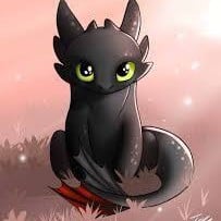 Chimuelo(Toothless)