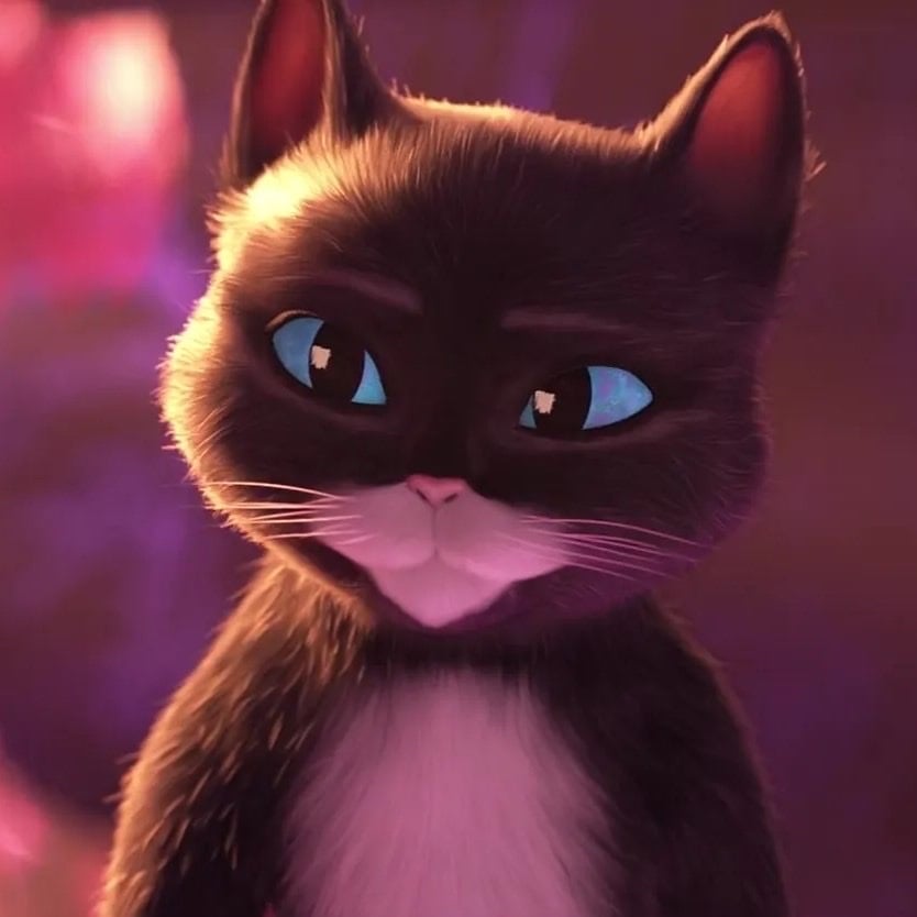Kitty Softpaws