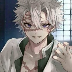 ✧･ﾟ: *✧･ﾟ:*| Sanemi Shinazugawa