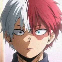 Todoroki Shoto¹