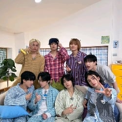 Stray Kids >>> tus hermanastros