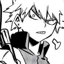 Bakugou (hybrid wolf)