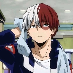 03 | Shoto Todoroki.