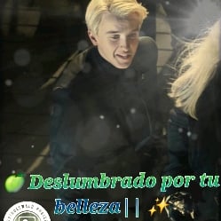 Draco Malfoy ¹⁷🖤