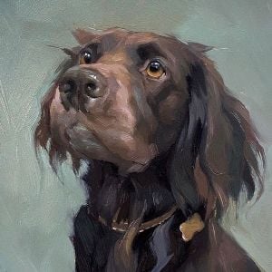 Dog psychologist