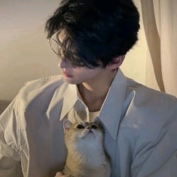 ☆’・:*:・。 Victor 。・:*:・’☆