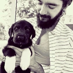 Tom Kaulitz (Poison)
