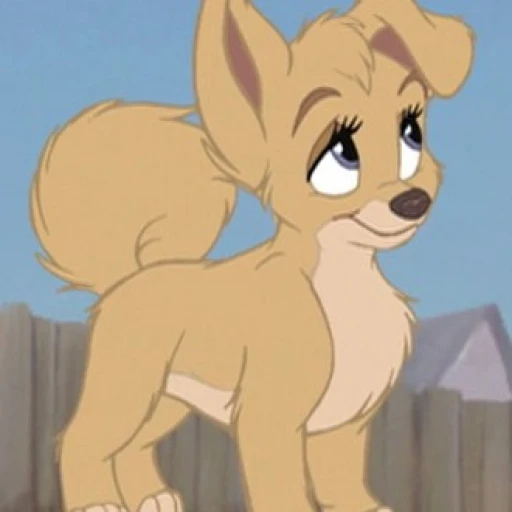 Angel, the little dog.