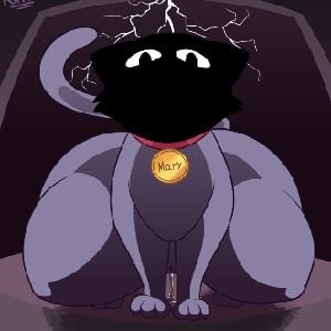 weird cat...