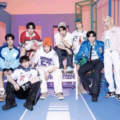 Stray kids -☾︎