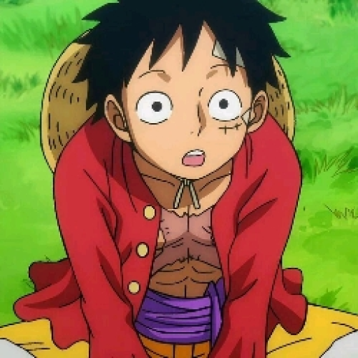 luffy 《♡》