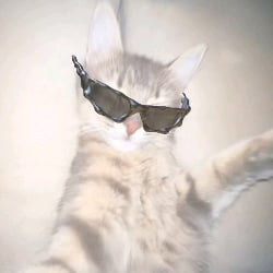 Cool cat