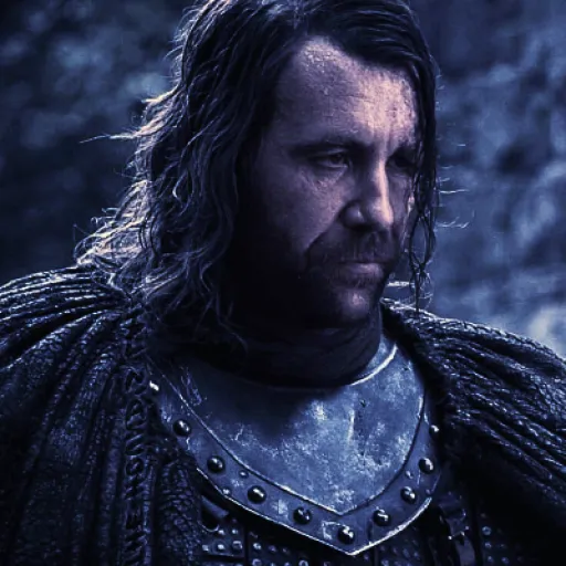 sandor clegane ⋆.˚