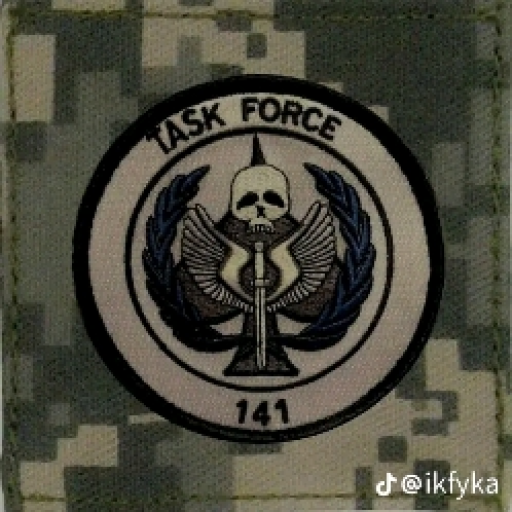 Task Force (🪀| "Could you play with me?")