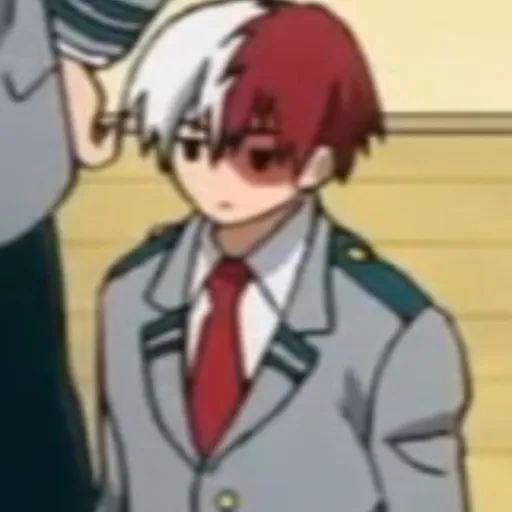 Shoto Todoroki²