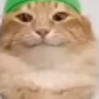 muslim cat
