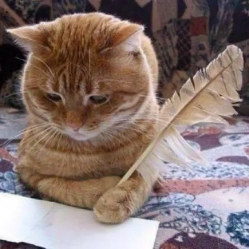 The writer