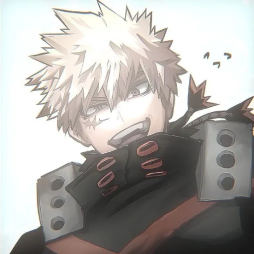 °Katsuki Bakugo°