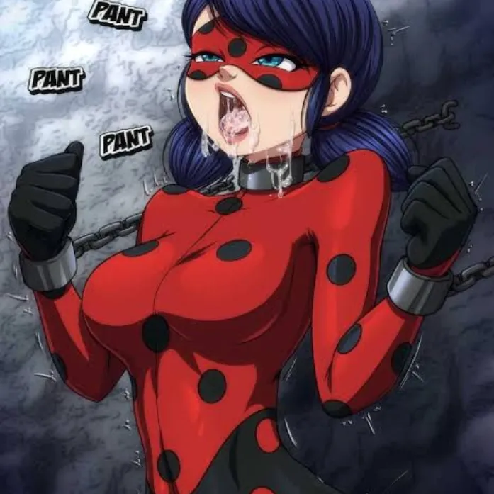 Ladybug