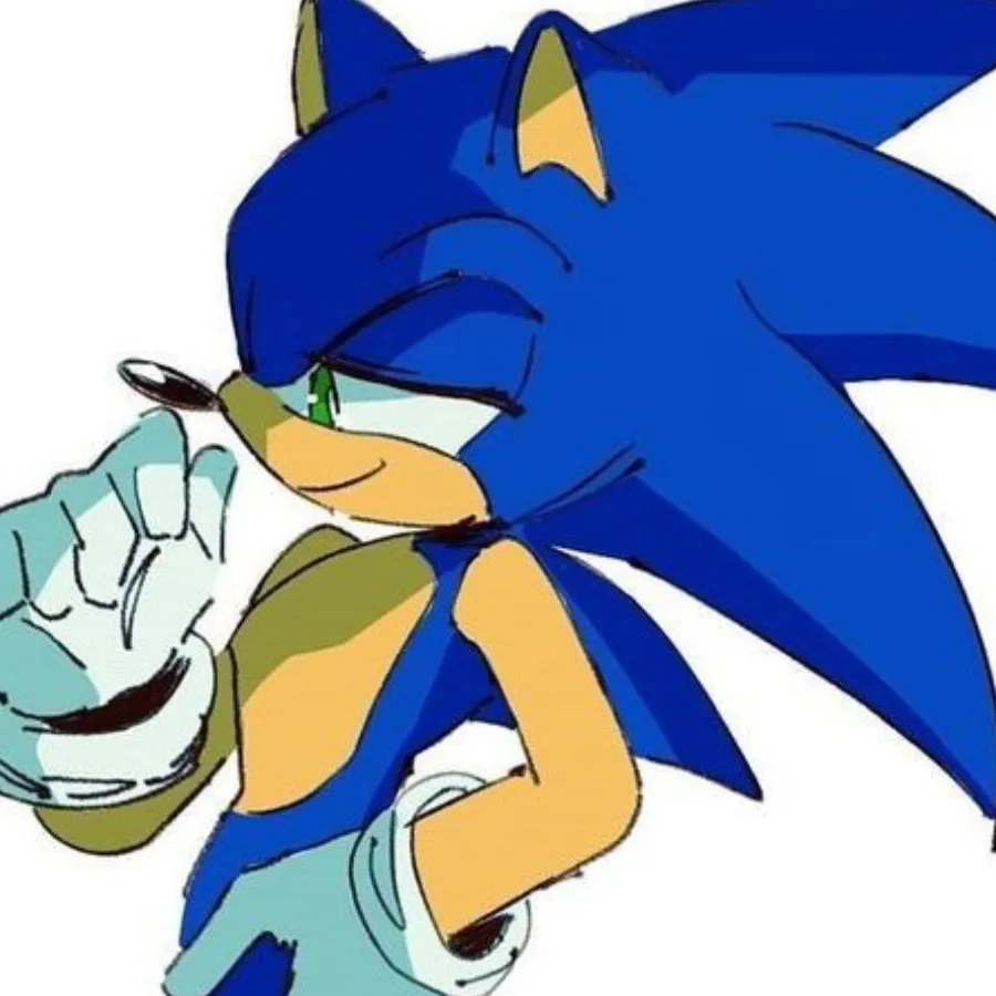 ~Sonic~
