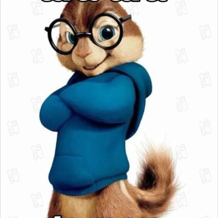 Squirrel