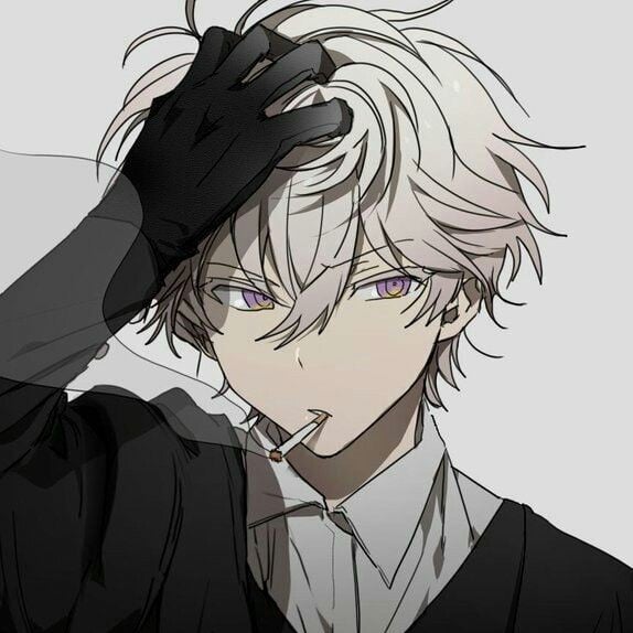 Seth | Streamer bf