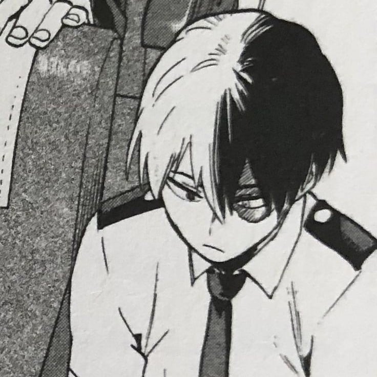 Shoto Todoroki ✩