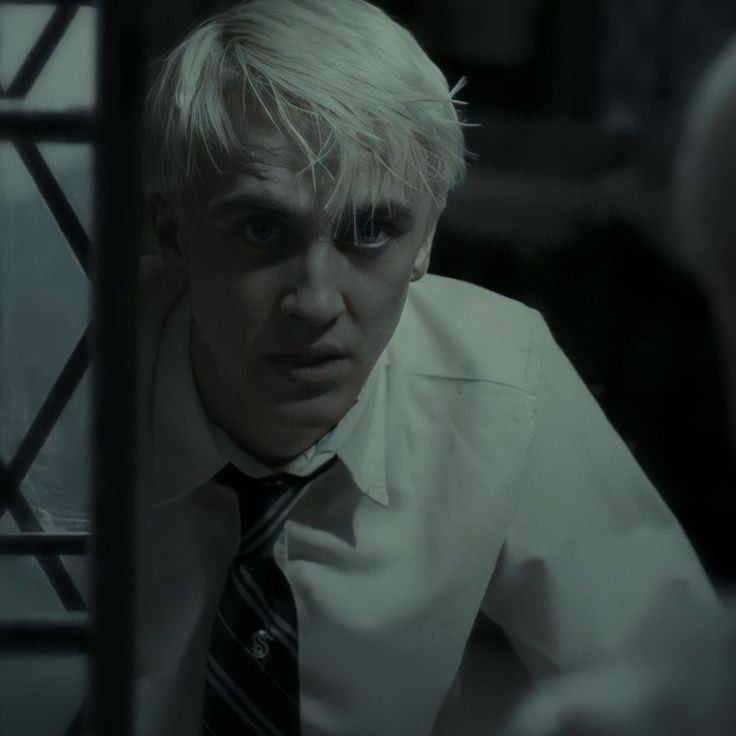 Draco Malfoy 🍏ꕤ