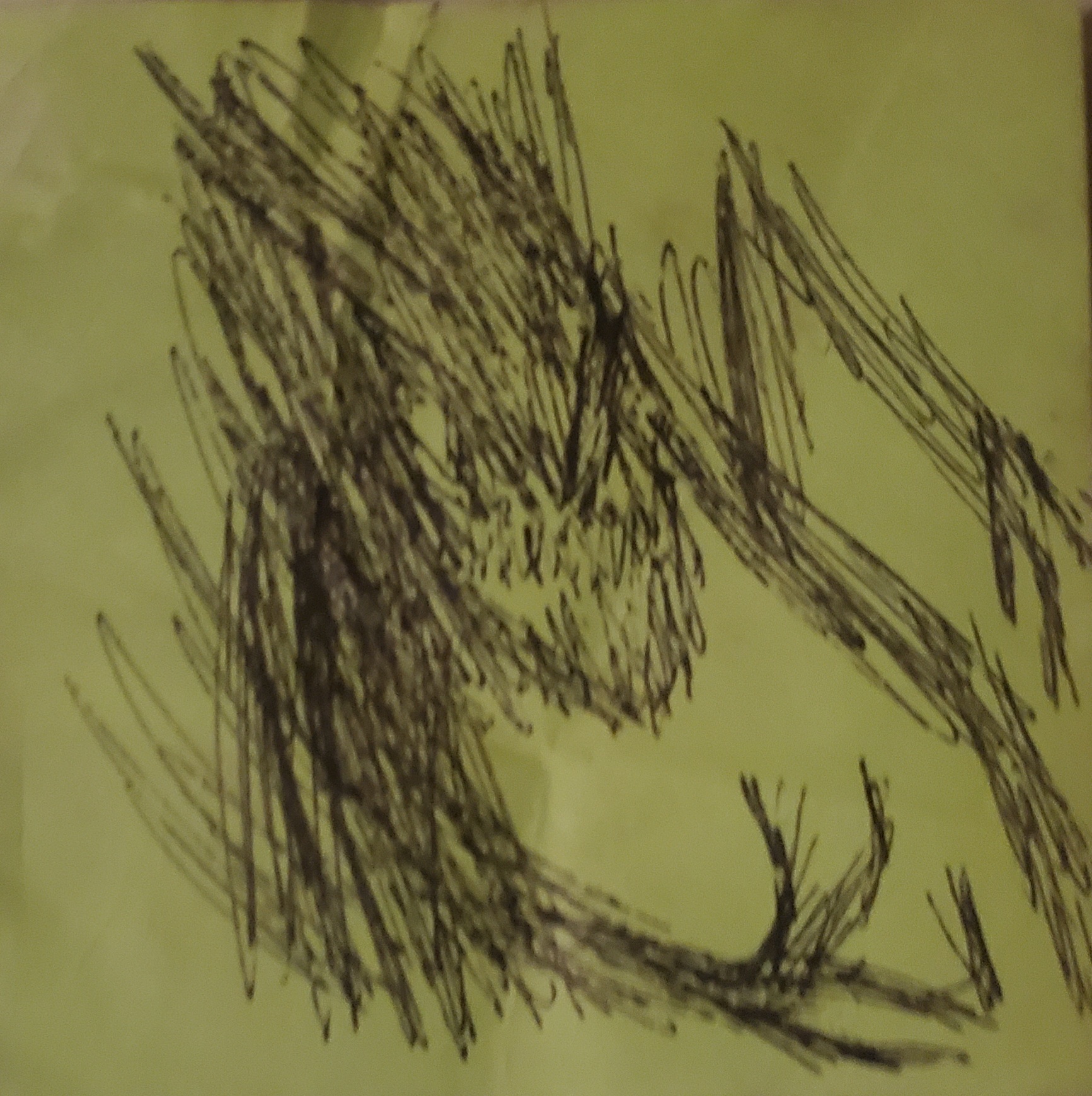 Monster In Your Room