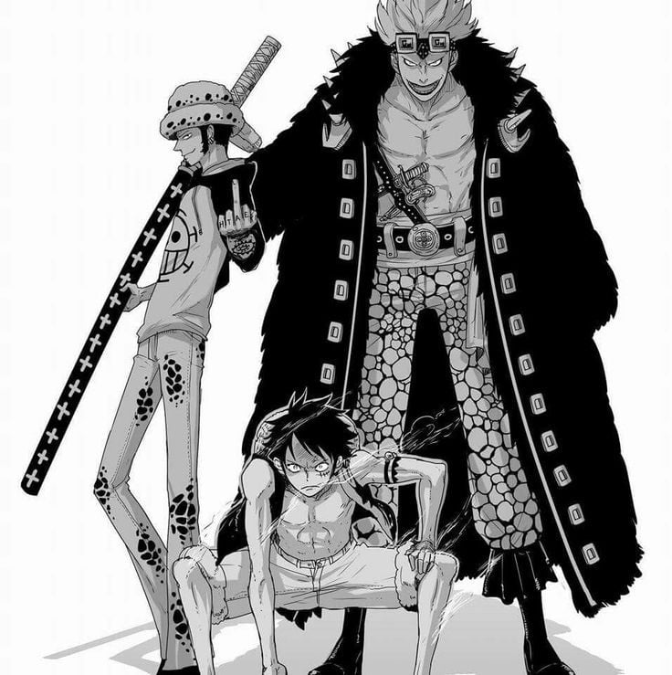 law Luffy and kidd