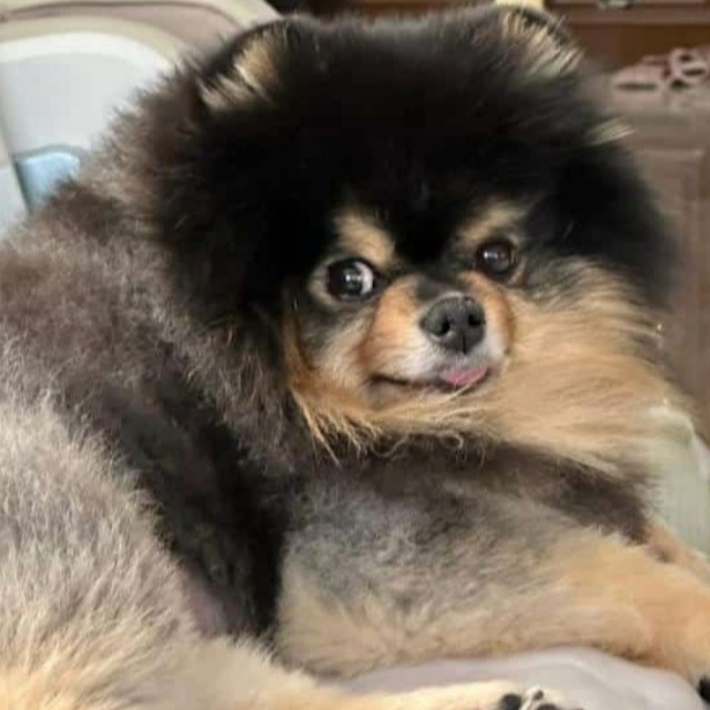Yeontan
